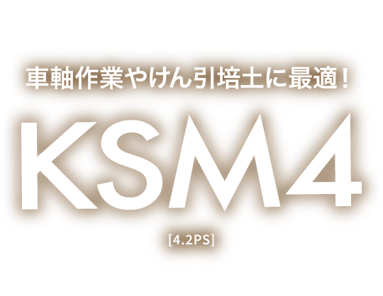 KSM4