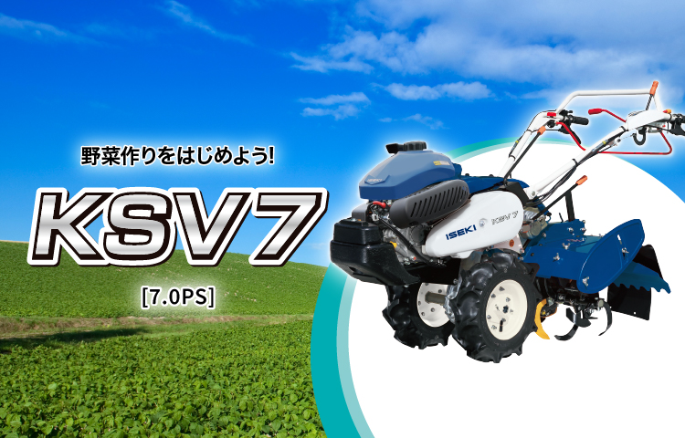 KSV7
