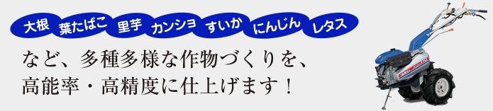パンジー P KP10