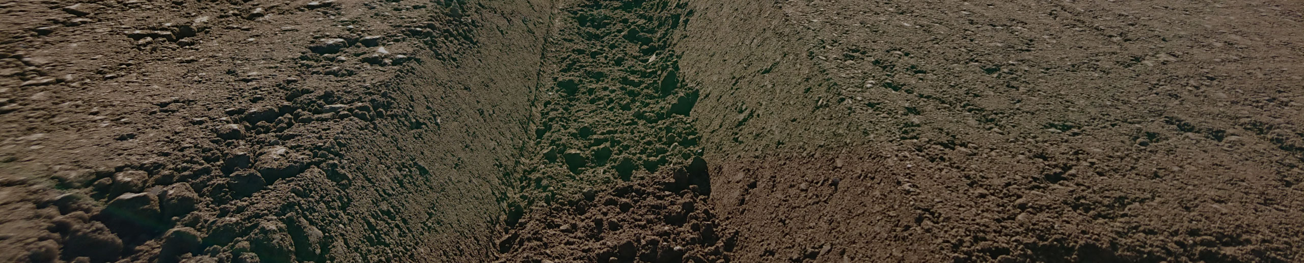 野菜作機械化一貫体系のご提案